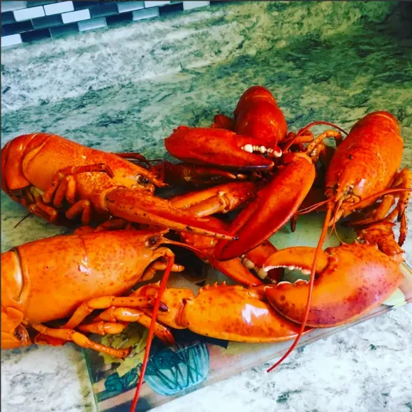 Fresh Cooked Lobsters